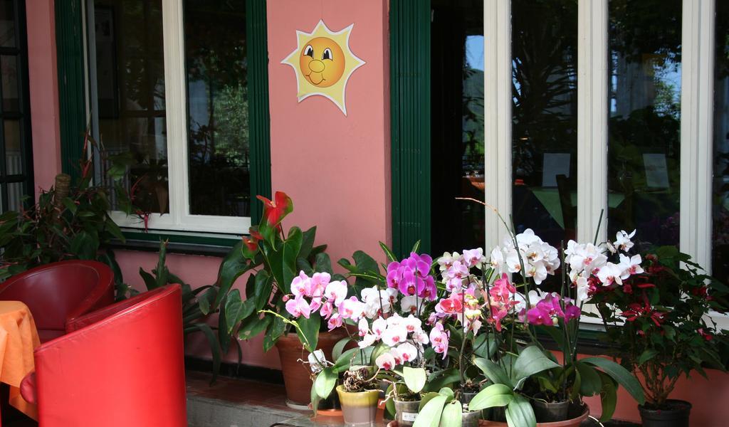 Hotel 5 Terre Nel Sole дева Марина Экстерьер фото